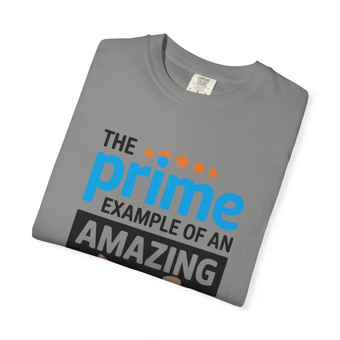 The Prime Example of an Amazing Dad Unisex T-Shirt | Gift for Father's Day, Dad's Birthday, Casual Wear, Dad Apparel, Family Reunion Shirt