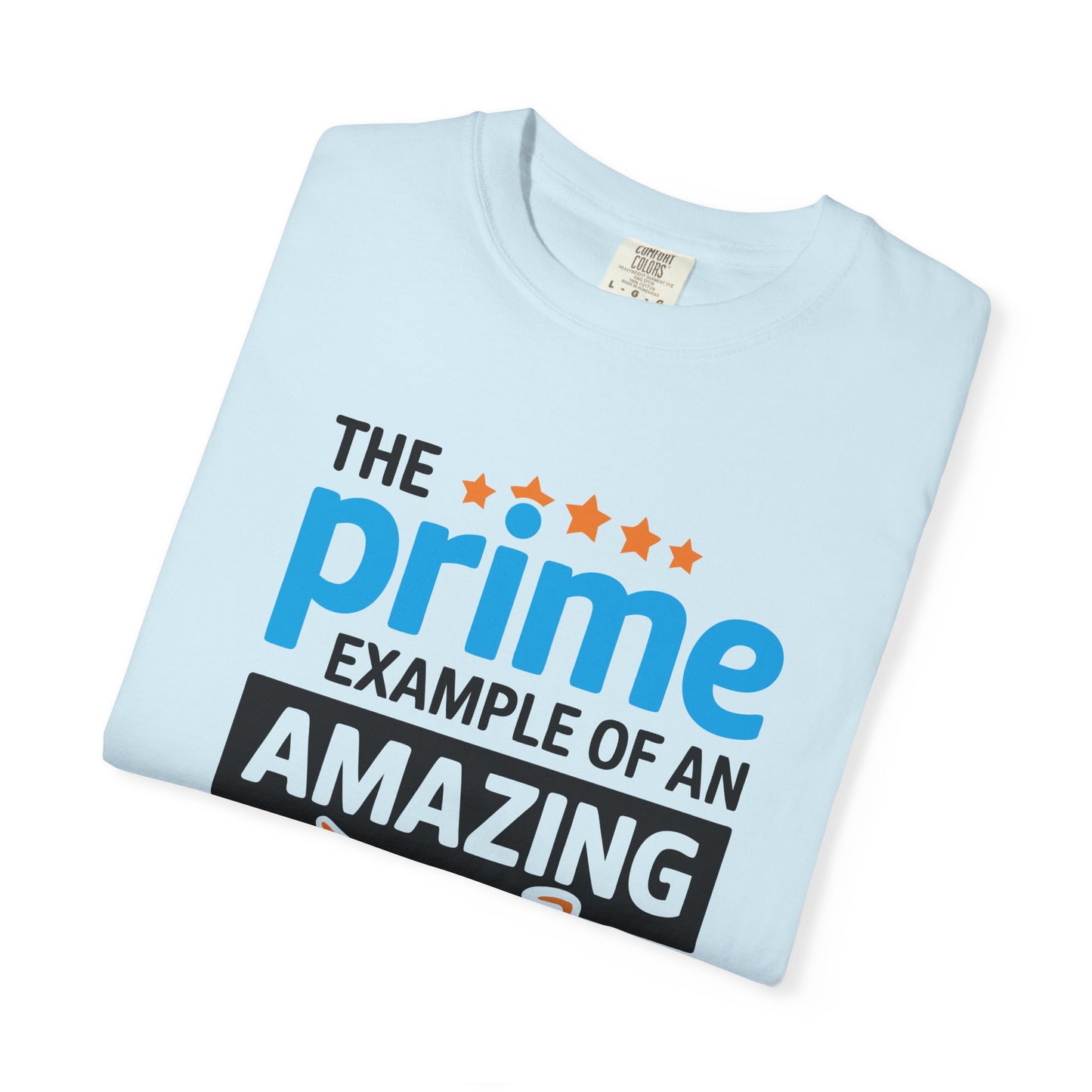 The Prime Example of an Amazing Dad Unisex T-Shirt | Gift for Father's Day, Dad's Birthday, Casual Wear, Dad Apparel, Family Reunion Shirt