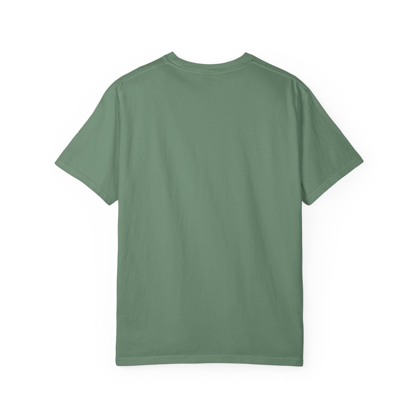 The Prime Example of an Amazing Dad Unisex T-Shirt | Gift for Father's Day, Dad's Birthday, Casual Wear, Dad Apparel, Family Reunion Shirt