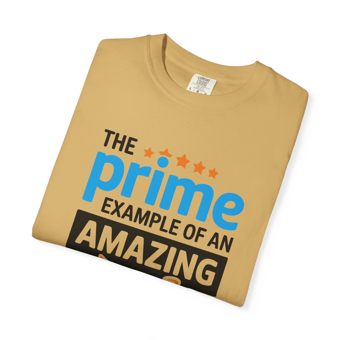 The Prime Example of an Amazing Dad Unisex T-Shirt | Gift for Father's Day, Dad's Birthday, Casual Wear, Dad Apparel, Family Reunion Shirt