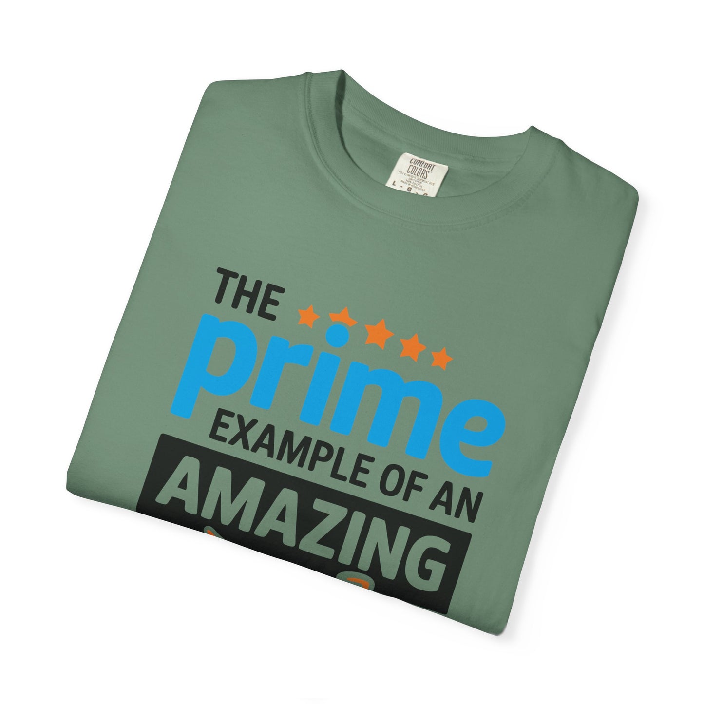 The Prime Example of an Amazing Dad Unisex T-Shirt | Gift for Father's Day, Dad's Birthday, Casual Wear, Dad Apparel, Family Reunion Shirt
