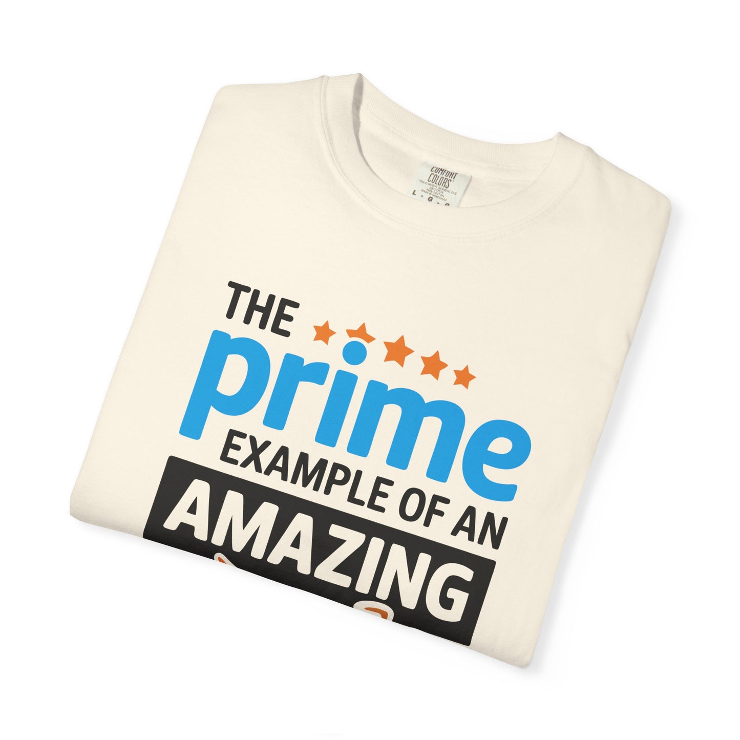 The Prime Example of an Amazing Dad Unisex T-Shirt | Gift for Father's Day, Dad's Birthday, Casual Wear, Dad Apparel, Family Reunion Shirt