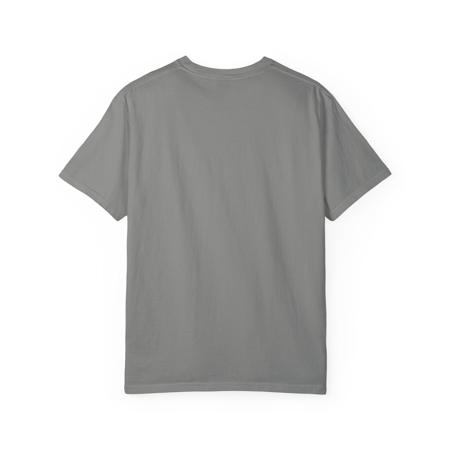 The Prime Example of an Amazing Dad Unisex T-Shirt | Gift for Father's Day, Dad's Birthday, Casual Wear, Dad Apparel, Family Reunion Shirt