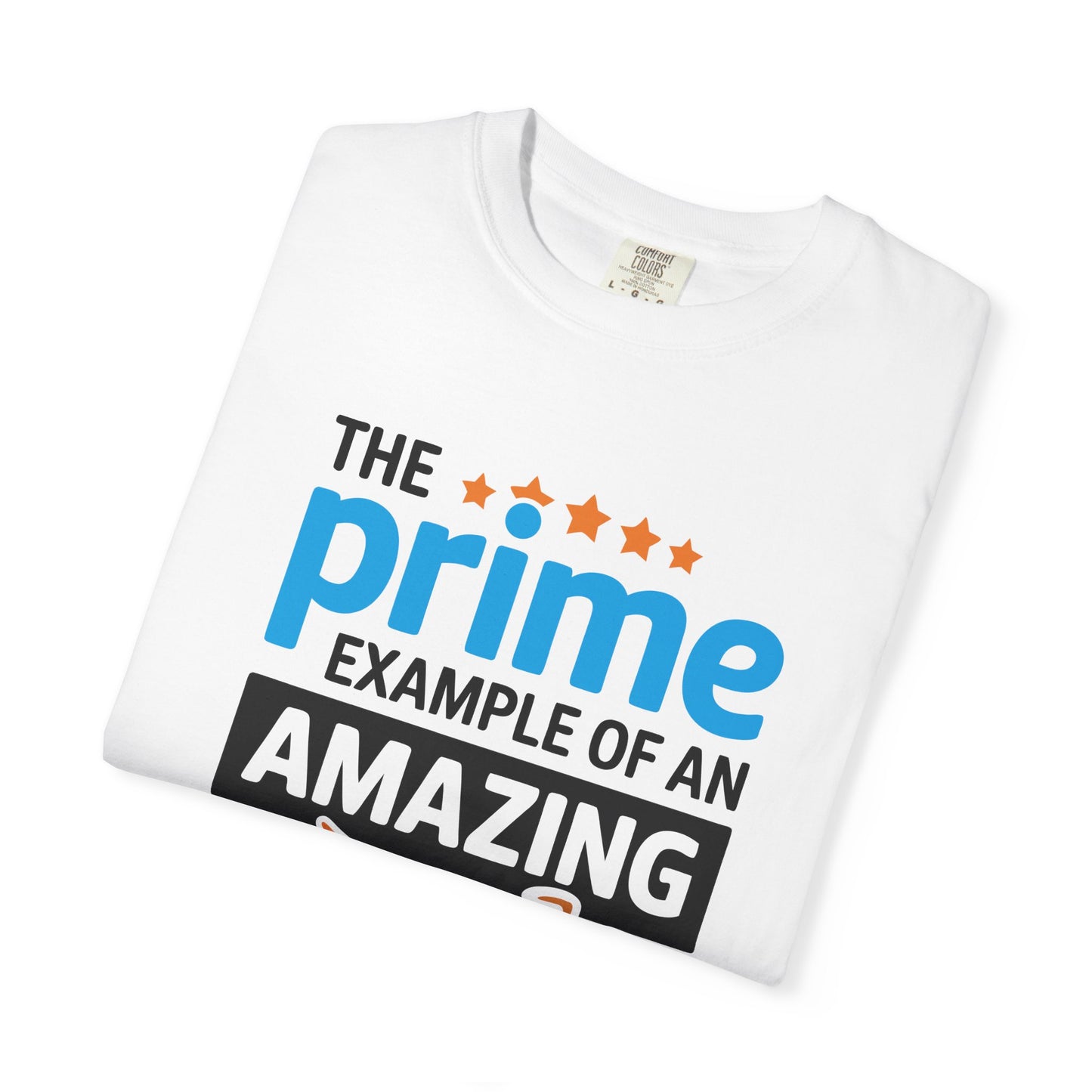 The Prime Example of an Amazing Dad Unisex T-Shirt | Gift for Father's Day, Dad's Birthday, Casual Wear, Dad Apparel, Family Reunion Shirt